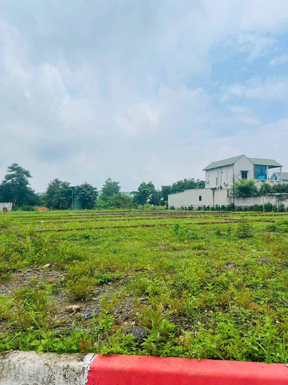 Đất nền Láng Hòa Lạc 100m2 giá 2.6 tỷ – gần trạm y tế, trường học, khu dân cư đông  Nguyễn Hùng BĐS - Ảnh 4